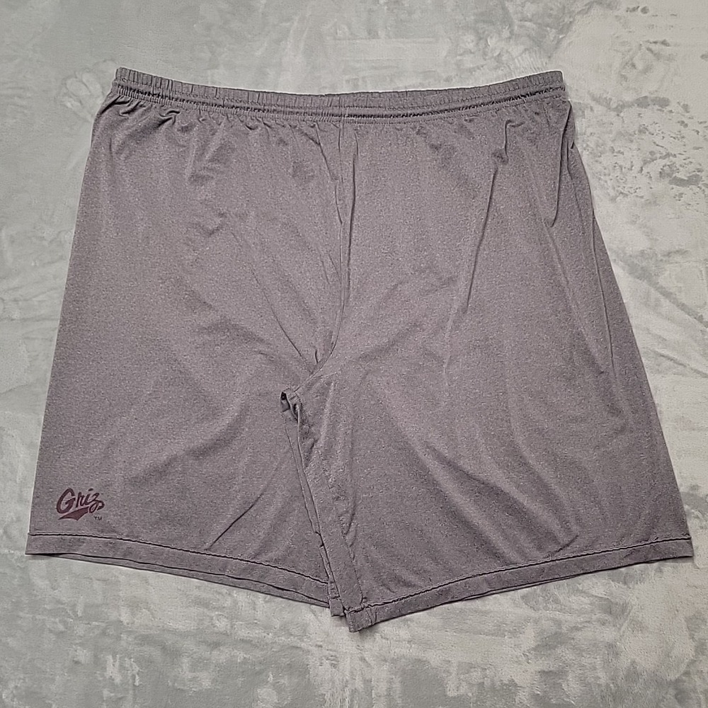 Nike Shorts‎ Mens XXL Grey Griz Dri Fit Athletic Gym Running Training